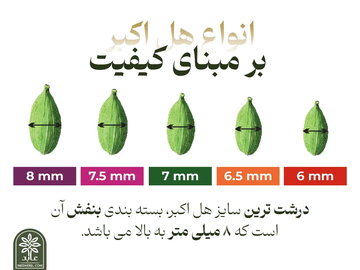 جدول مقایسه انواع هل اکبر – بنفش، نارنجی، و سبز برای خرید عمده
