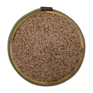 اسفرزه هندی