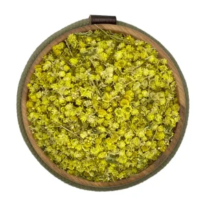 افسنطین