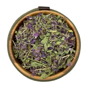 بادرنجبویه (ملیس)