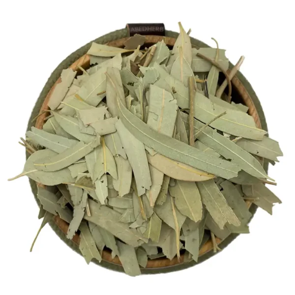 برگ اکالیپتوس خشک