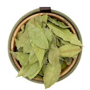 برگ بو