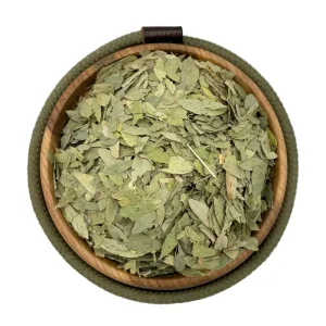 برگ سنا