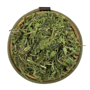 برگ کاسنی