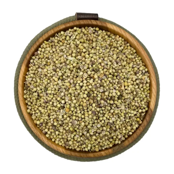 تخم گشنیز