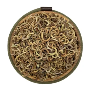 ناخنک (اکلیل الملک)
