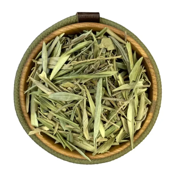 برگ زیتون