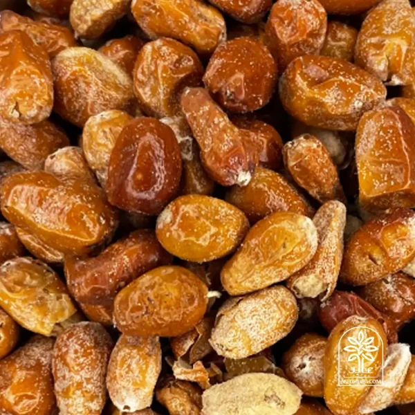 سنجد مخصوص آسیاب - تصویر 2