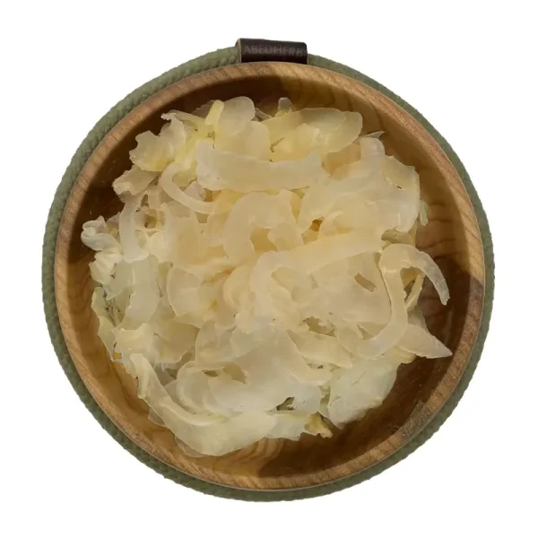 کتیرا صدفی