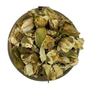 گل نیلوفر