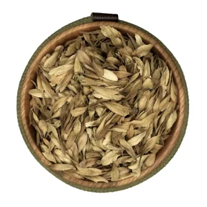 زبان گنجشک